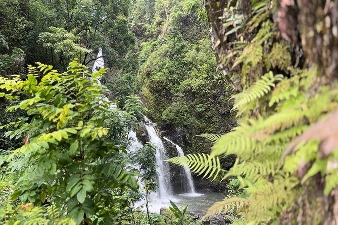 Private Road to Hana Maui Open-Air Jeep Tour - The Guide and Cultural Insights