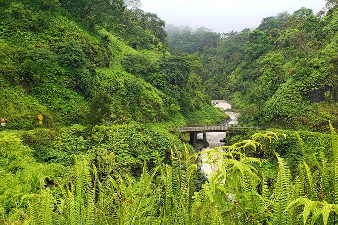 Private Road to Hana or any Maui destination in Luxury Mercedes Sprinter - Key Points