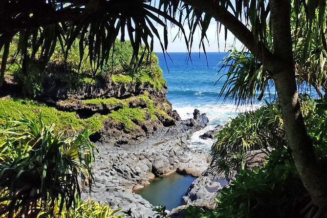 Private Road to Hana or any Maui destination in Luxury Mercedes Sprinter - From Hotel Pickup to Drop-off: Seamless Transportation