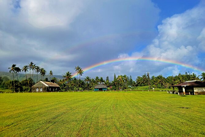 Private Road to Hana or any Maui destination in Luxury Mercedes Sprinter - Tasting Maui’s Fresh Flavors with a Picnic Lunch