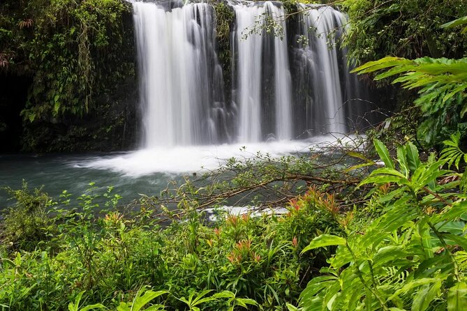 Private Road to Hana Rainforest & Waterfall Experience from Maui - Key Points