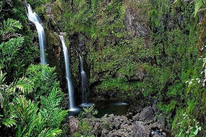 Private Road to Hana Rainforest & Waterfall Experience from Maui - Exploring the Scenic Stops on the Road to Hana