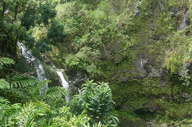 PRIVATE Road to Hana Tour - Convenience and Comfort