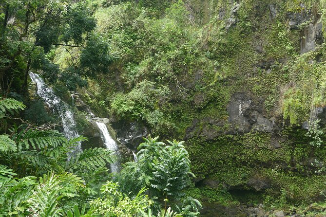 PRIVATE Road to Hana Tour - Booking and Flexibility