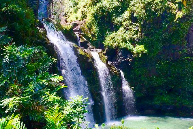 Private Road to Hana Tour - Customization and Flexibility in the Itinerary
