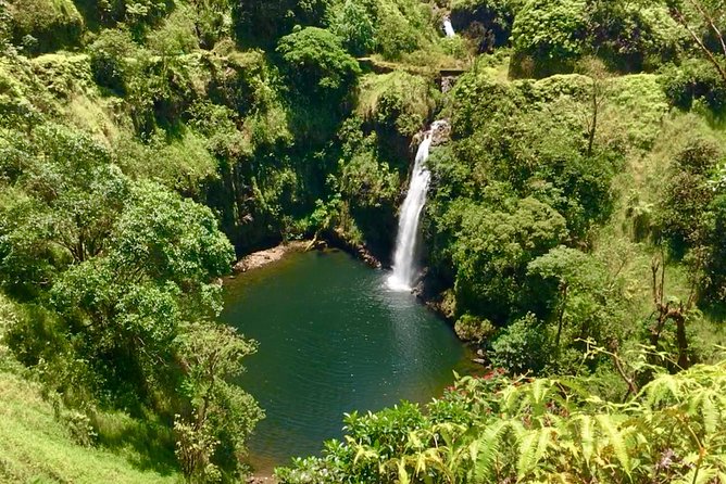 Private Road to Hana Tour - Hanas Unique Attractions