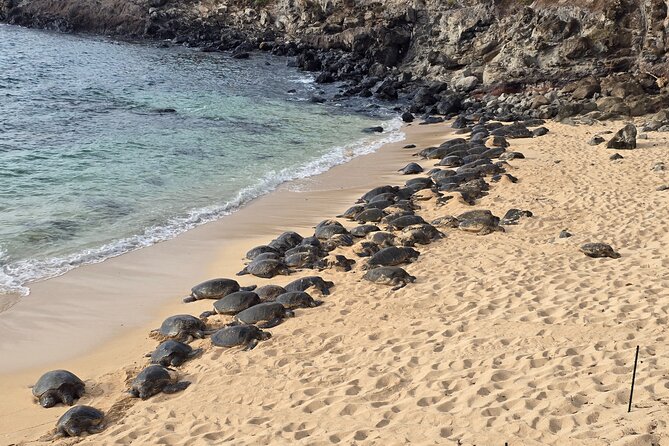 Private Road to Hana Tour with Pickup-Ultimate Package, Backside - Puaa Kaa State Park: Waterfalls and Swimming Opportunities
