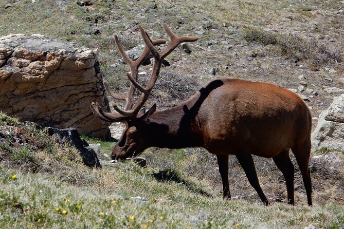 Private Rocky Mountain National Park 4 Hour Tour - Physical Requirements and Accessibility
