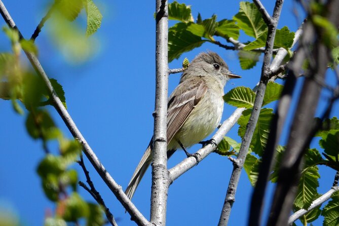 Private Rocky Mountain National Park 4 Hour Tour - Why Choose This Tour Over Others?