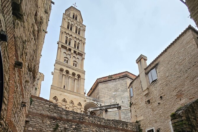 Private Roman Split tour: Diocletian Palace with a Professor - Key Points