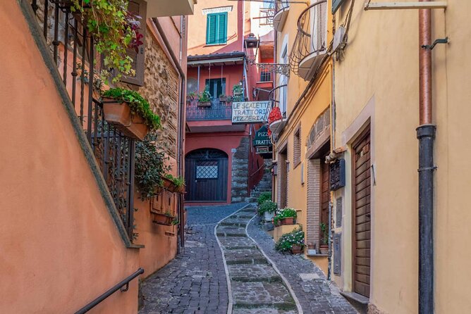 Private round trip from Rome to Castelli Romani and Lakes - Practical considerations and accessibility