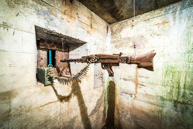 Private Round Trip to Project Riese Including Tickets - Key Points