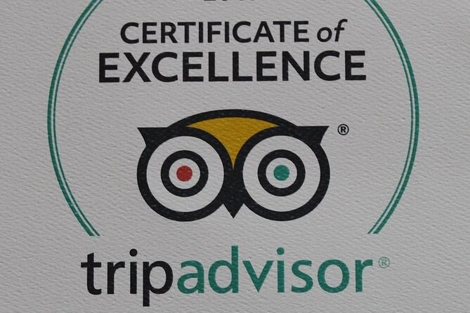 Private Round Trip Transfer from Heathrow Airport to London City - Accessibility and Special Requirements