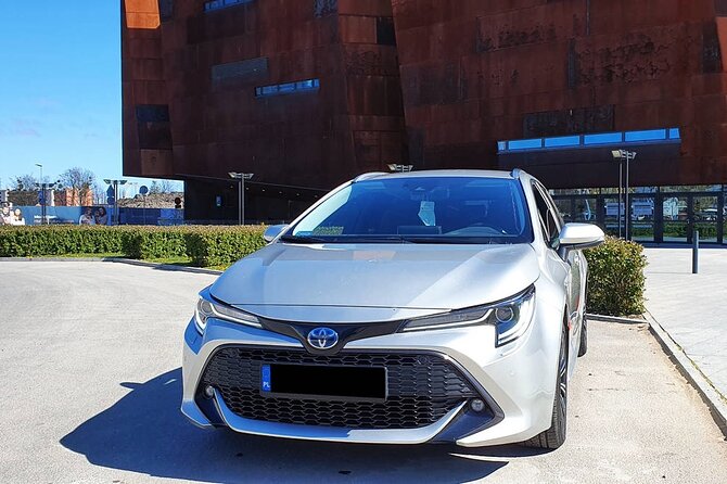 Private Round-Trip Transfers: Gdansk Airport (GDN) - Meet and Greet at Gdansk Lech Walesa Airport