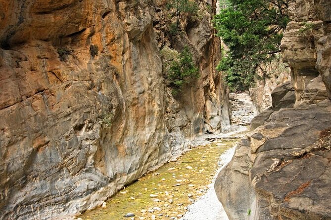 Private Roundtrip Transfer from Chania to Samaria Gorge Park - Key Points