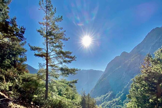 Private Roundtrip Transfer from Chania to Samaria Gorge Park - The Logistics and Timing of the Journey