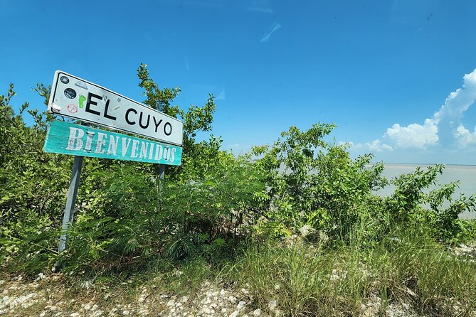 Private Roundtrip Transfer to "El Cuyo Yucatan" - Customizable Pick-Up Options in Cancun