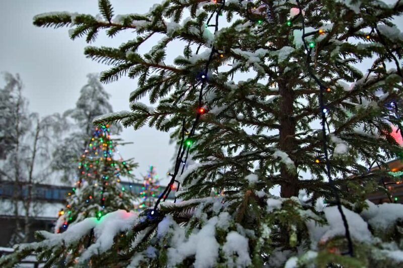 Private Rovaniemi Christmas Tour + Hot Festive Drinks - Warm Festive Drinks at Cafe & Bar 21