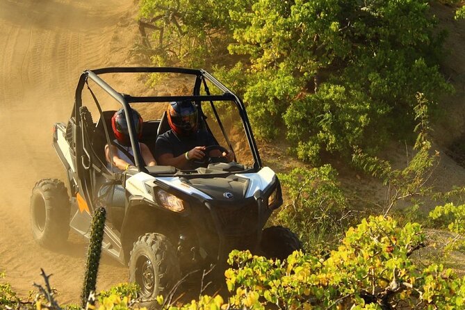 Private RZR tour, handmade quesadillas and Pacific Arch! - The Tour Highlights: Pacific Arch and Desert-Beach Contrast
