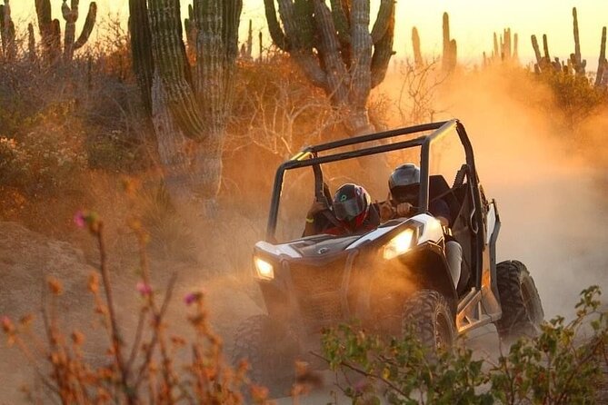 Private RZR tour, handmade quesadillas and Pacific Arch! - Why Choose This Cabo San Lucas UTV Adventure?