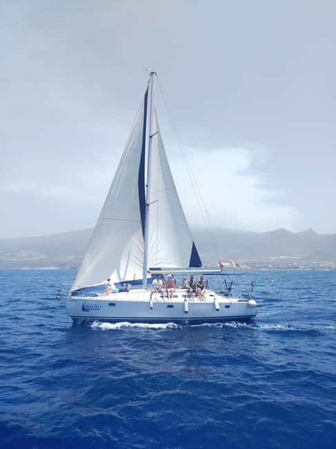 Private sailboat charter - coastal tour with snorkeling in the bay - The Private Jeanneau Sun Odyssey Bow in Tenerife’s Coastline