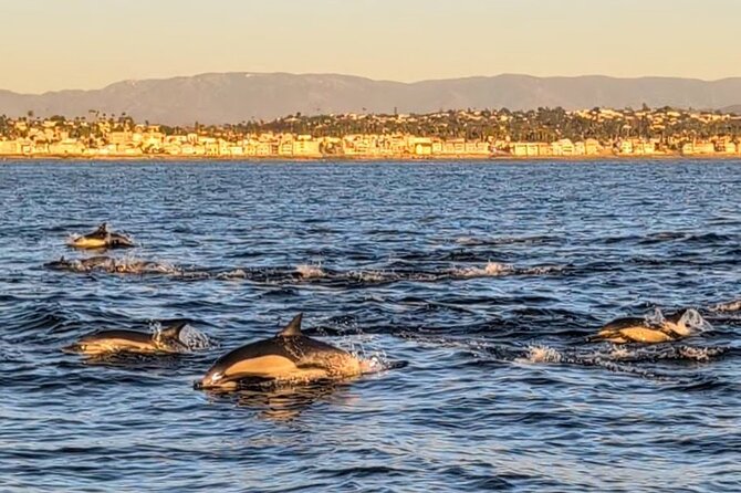 Private Sailing Charters in Oceanside California - Key Points