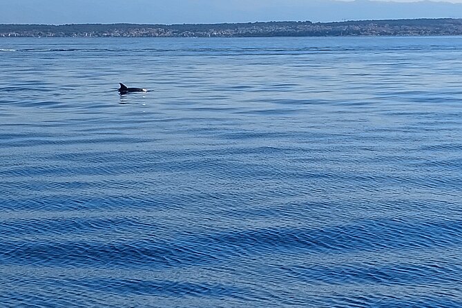 Private Sailing Day Tour - Exploring a Small Village on Ugljan Island