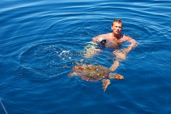 Private Sailing - dolphin Experience from Estepona - drink & food - Water Sports and Relaxation on Deck