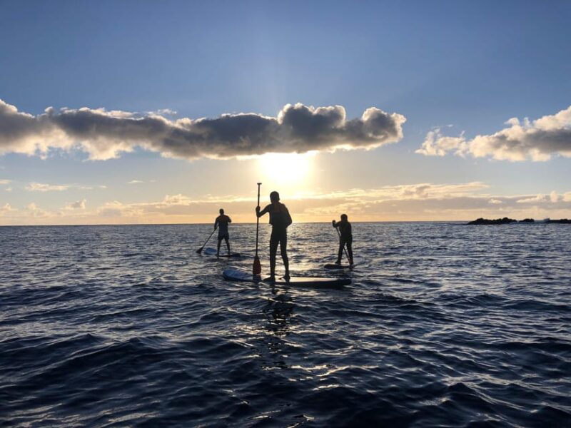 Private Sailing Sunset Tour PDL - Key Points