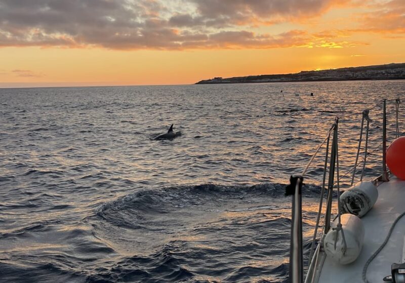 Private Sailing Sunset Tour PDL - Water Activities: Snorkeling and Paddleboarding