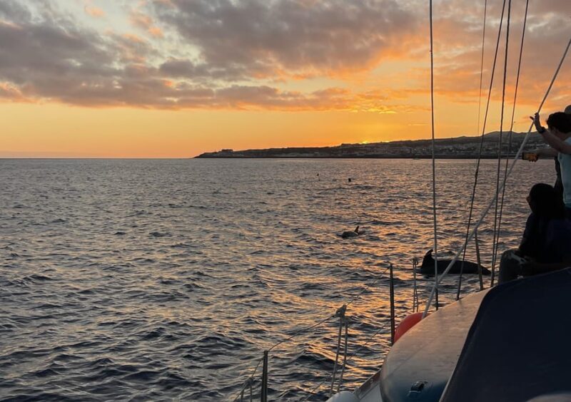 Private Sailing Sunset Tour PDL - The Guides and Their Expertise