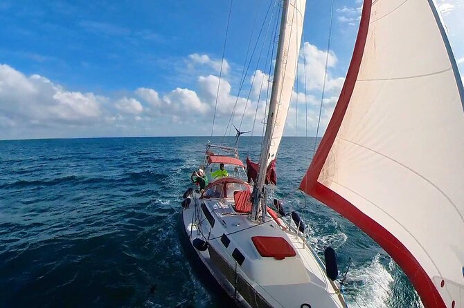 Private sailing tour in Sotogrande plus ideal drink groups of 8 - Who Will Love This Sotogrande Sailing Adventure