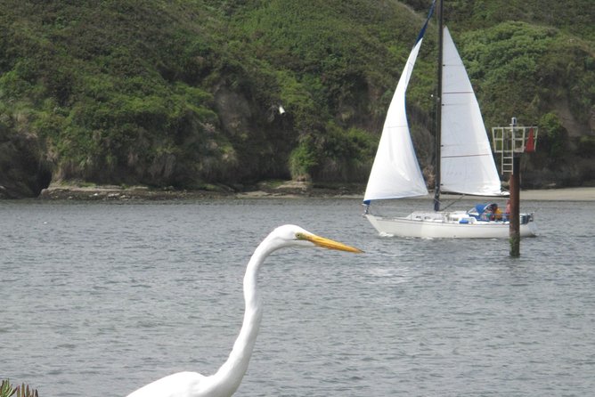 Private Sailing Tour of Bodega Bay - Convenient Meeting Point at Bodega Bay’s Bay Flat Road