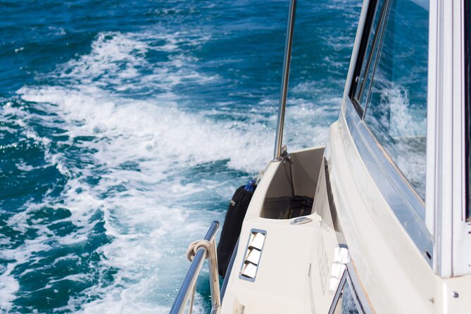 Private Sailing Tours in Zadar Archipelago - What’s Included and What You Need to Bring