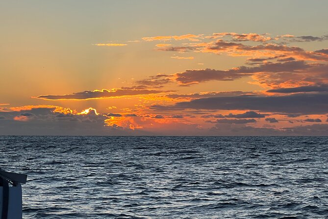 Private Sailing Trip on Monterey Bay - Wildlife Encounters: Whales, Dolphins, and Sea Otters