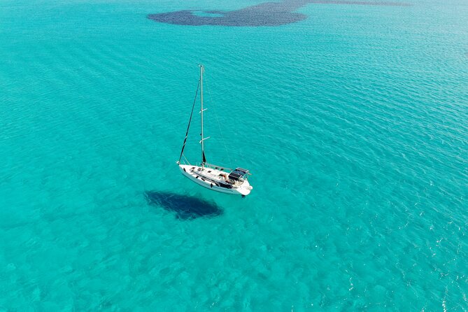 Private sailing with Paella and Tapas in Palma - Key Points