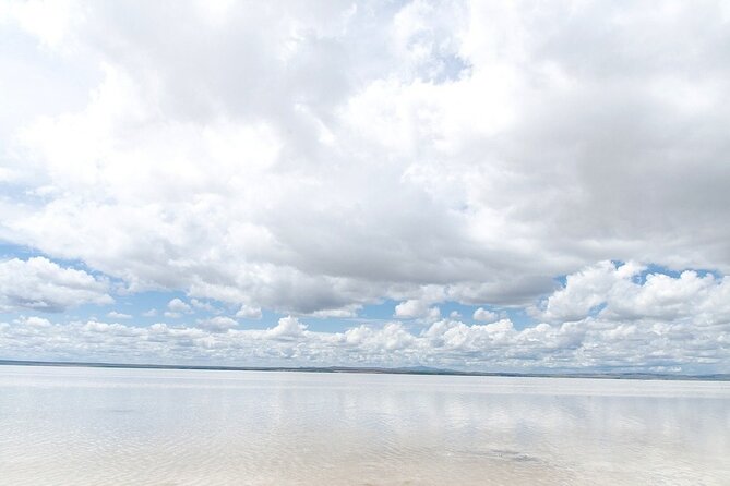 Private Salt Lake Tour - Comfort and Convenience During the Tour