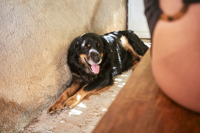 Private Sandal Making in Palma de Mallorca - Weather Considerations and Cancellation Policies