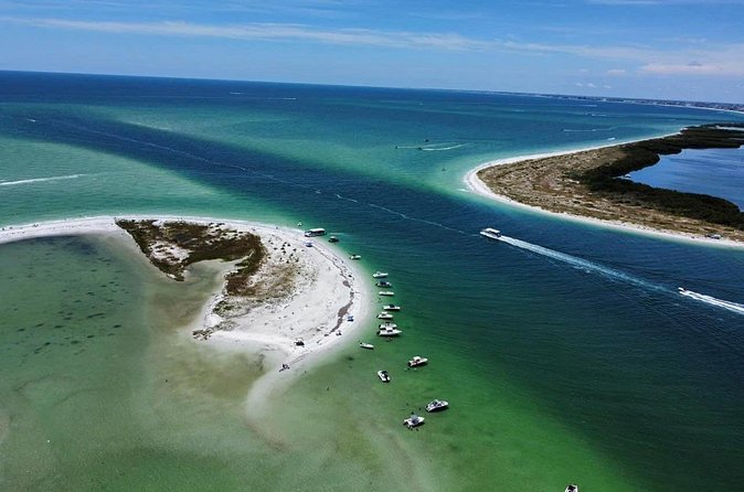 Private Sandbar Party Charter in St. Pete - Capturing the Gulf: Sunsets and Nature Encounters