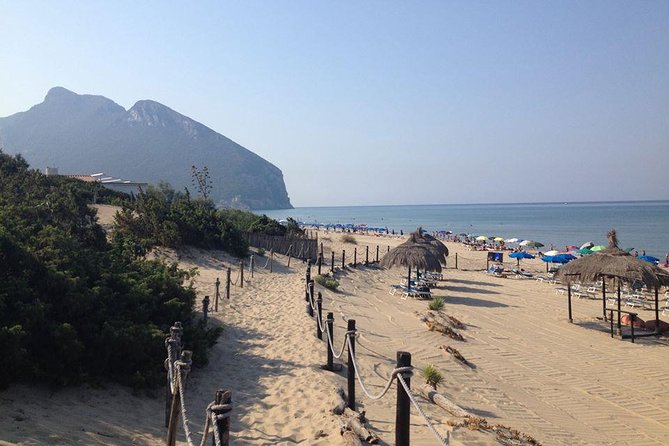Private Sandy Beach Day Trip From Rome - Pricing and Booking Considerations