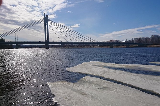 Private Santa Claus Village & Rovaniemi city tour - Meeting Point and Transport for a Smooth Start