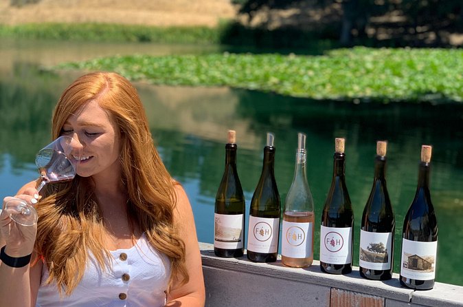 Private Santa Ynez Wine Tour (All-Inclusive) - The Transport: Comfortable and Convenient