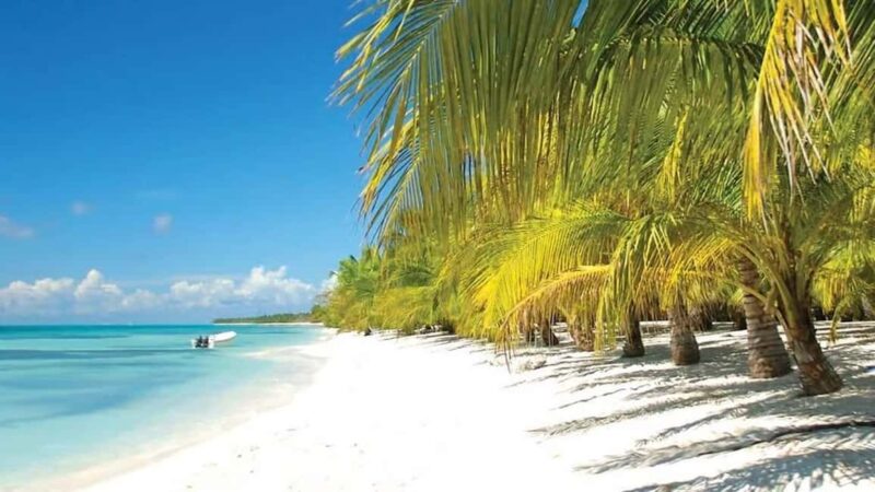 Private: Saona Island Speedboat and Catamaran Tour - Festive Return on the Catamaran with Music and Animation