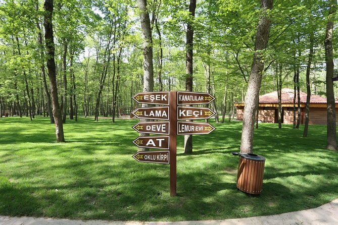 Private Sapanca and Masukiye Tour from Istanbul - Lunch at Balkl Göl Restaurant: Turkish Cuisine in a Picturesque Setting