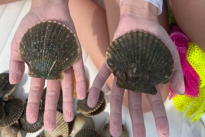 Private Scallop Charter in Crystal River - Explore Crystal River’s Premier Private Scallop Experience for Up to Six People