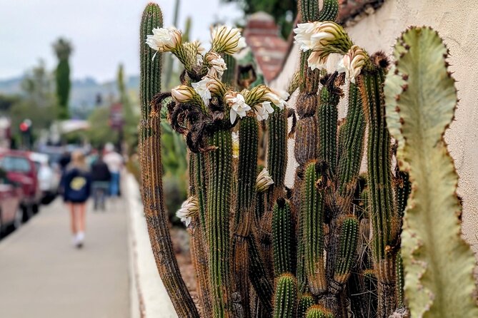 Private Scavenger Hunt in San Juan Capistrano Tour - Exploring San Juan Capistrano’s Los Rios Historic District