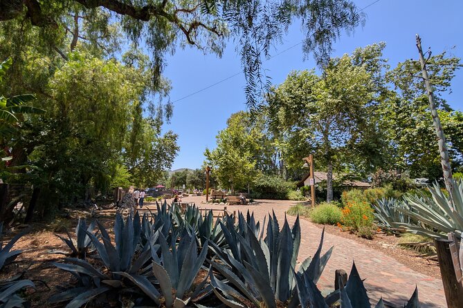 Private Scavenger Hunt in San Juan Capistrano Tour - Who Will Enjoy This Tour Most
