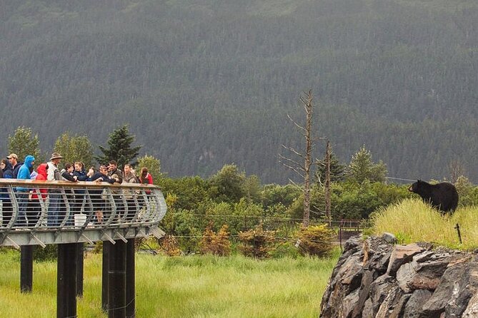 Private Scenic Turnagain Arm Glacier Tour from Anchorage - Key Points