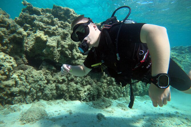 Private Scuba Diving Experience in Cyprus - Key Points