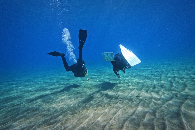 Private Scuba Diving in Tenerife  Certified Instructor & Photos - The Equipment Provided and Optional Rentals